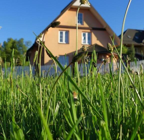 Отель Dom Gościnny Orange