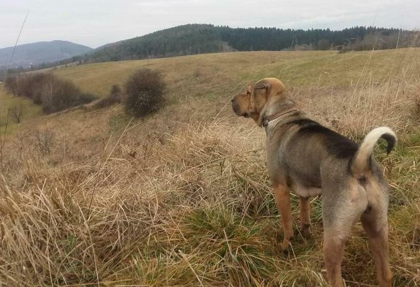 酒店 Dom Na Rozdrożu