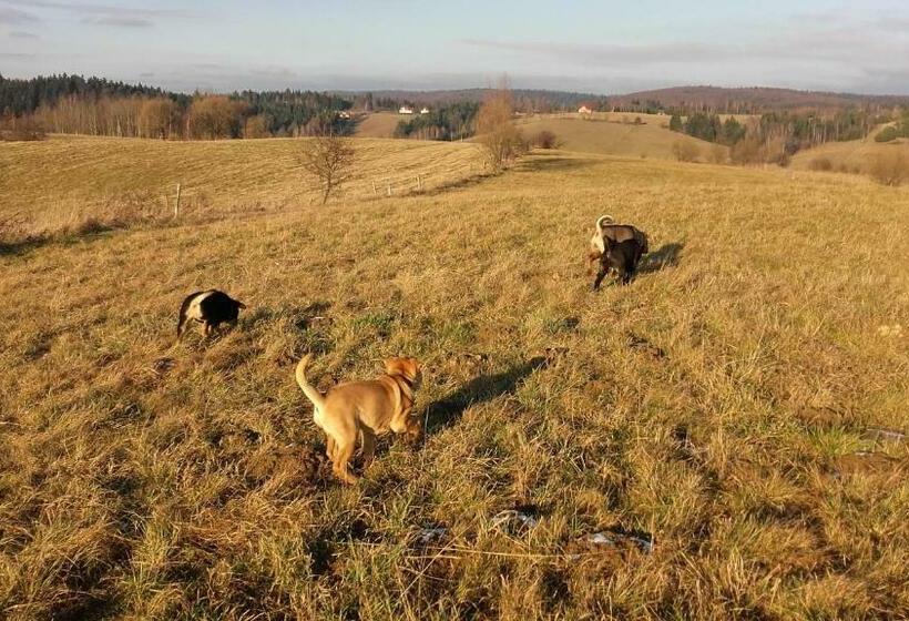 酒店 Dom Na Rozdrożu