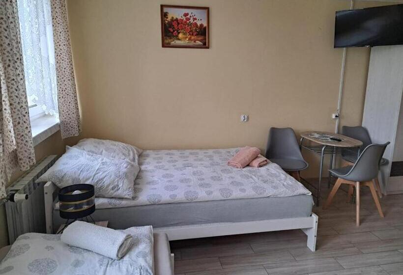 בית מלון כפרי Dom Turysty Salus