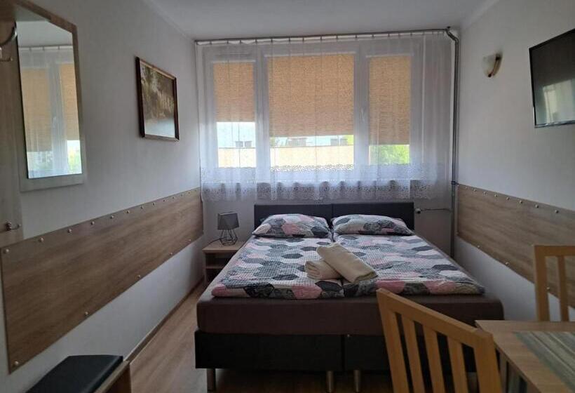 בית מלון כפרי Dom Turysty Salus