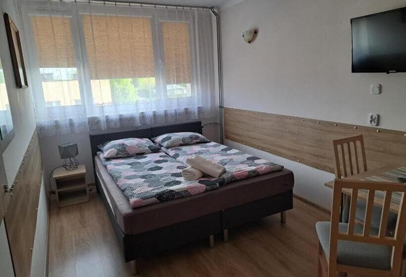 בית מלון כפרי Dom Turysty Salus