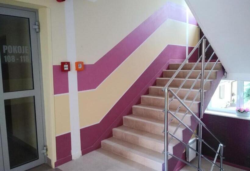 בית מלון כפרי Dom Turysty Salus