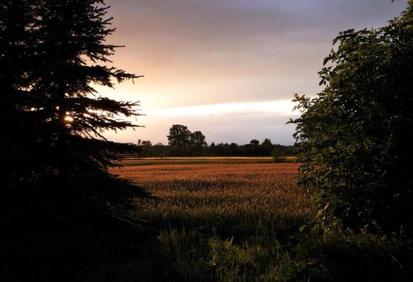 호텔 Gosciniec Pod Debem