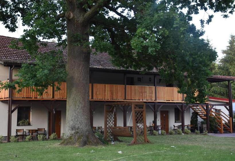 호텔 Gosciniec Pod Debem