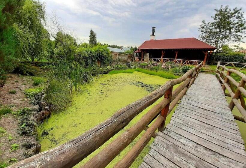 فندق Gospodarstwo Agroturystyczne Pod Lasem Maria Płazio