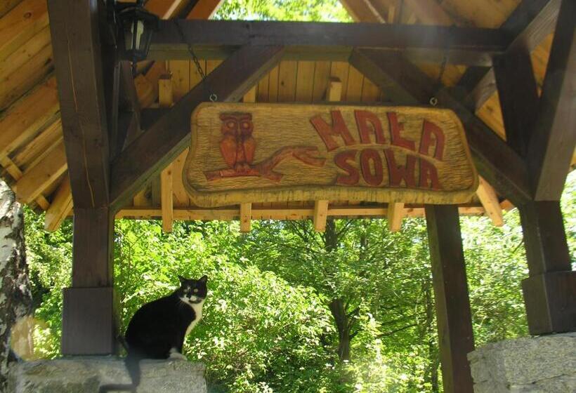 בית מלון כפרי Mała Sowa