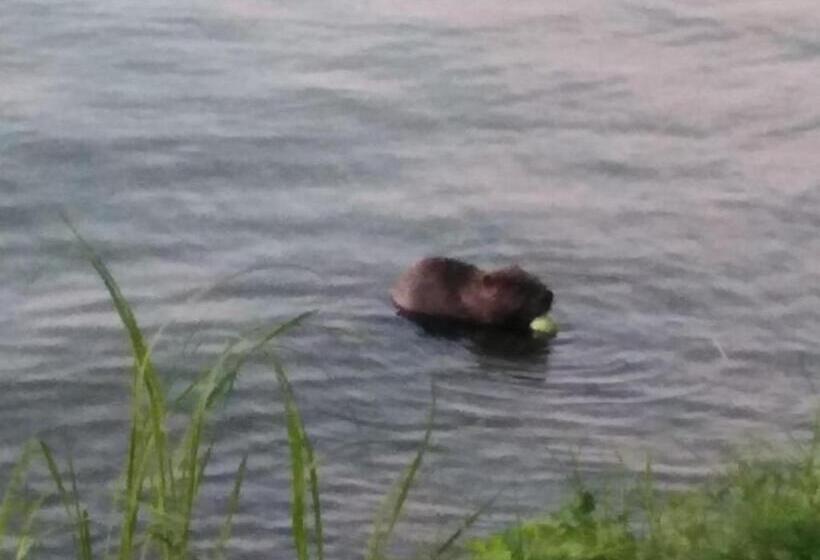 בית מלון כפרי Mazurska Apartamenty