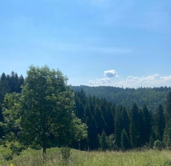 Отель Nocleg Pod Turbaczem