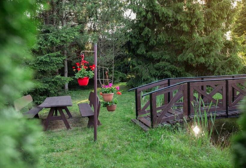 בית מלון כפרי Noclegi Ciesiul