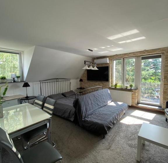 בית מלון כפרי Noclegi Pod Słonecznikiem