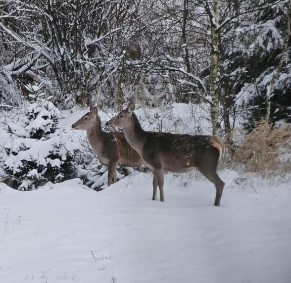 فندق Osmelakowa Dolina