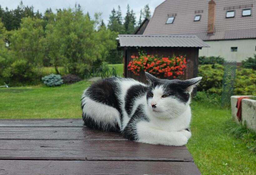 فندق Osmelakowa Dolina