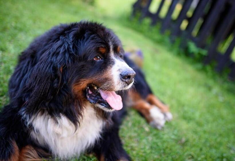 فندق Osmelakowa Dolina