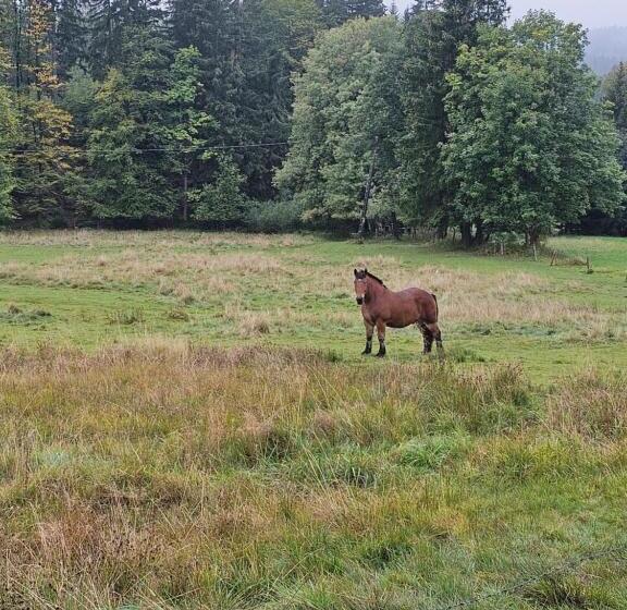 فندق Osmelakowa Dolina