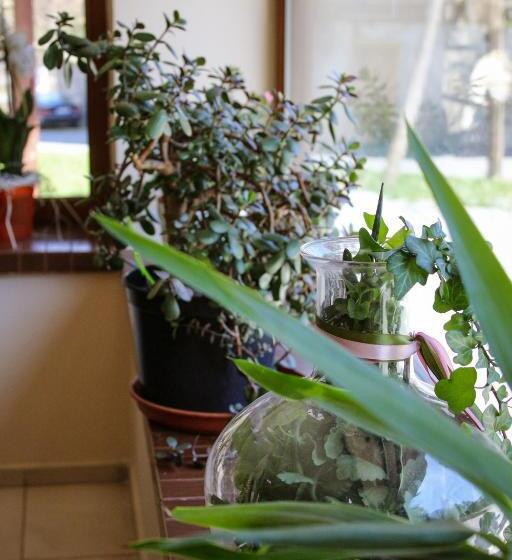 酒店 Pensjonat 4 Pory Roku