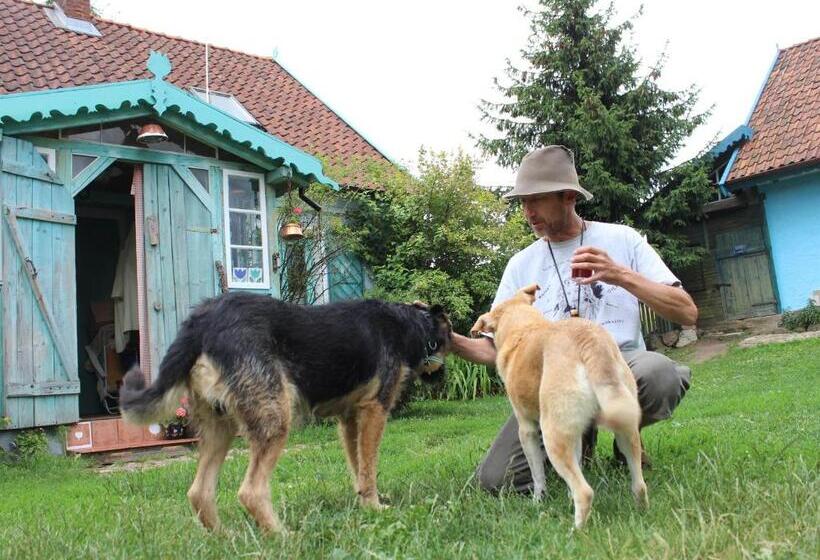 호텔 Pod Tulipanem Nad Jeziorem