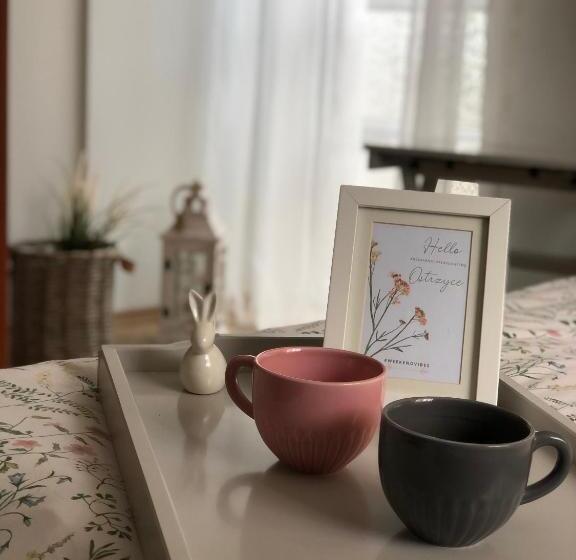 Отель Pokoje Agroturystyczne U Hani