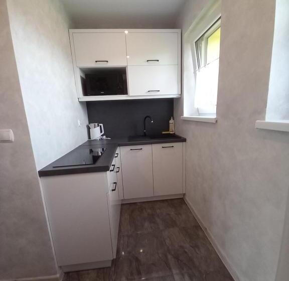 בית מלון כפרי Pokoje Gościnne U Marysi