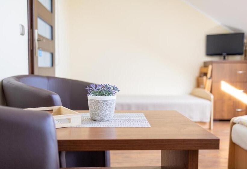 Отель Pokoje Goscinne U Florka