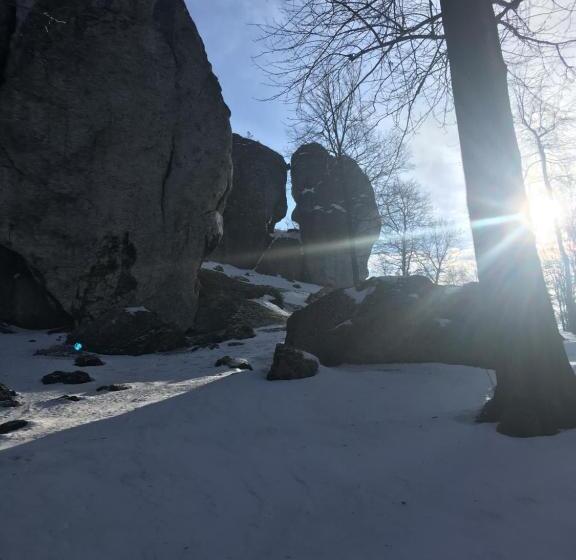 ホテル Pokoje Przy Zamku