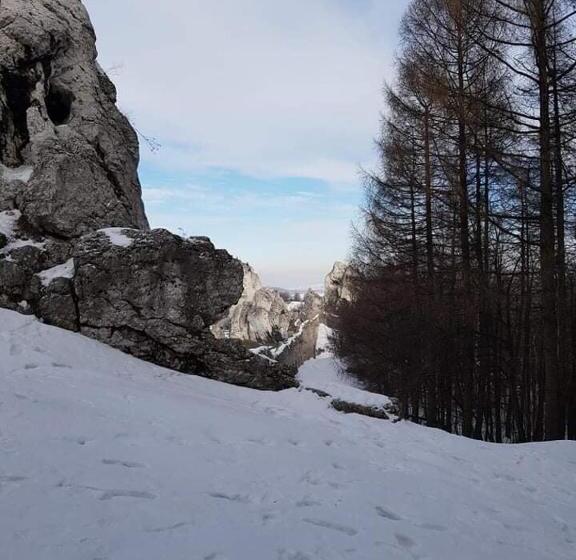 ホテル Pokoje Przy Zamku