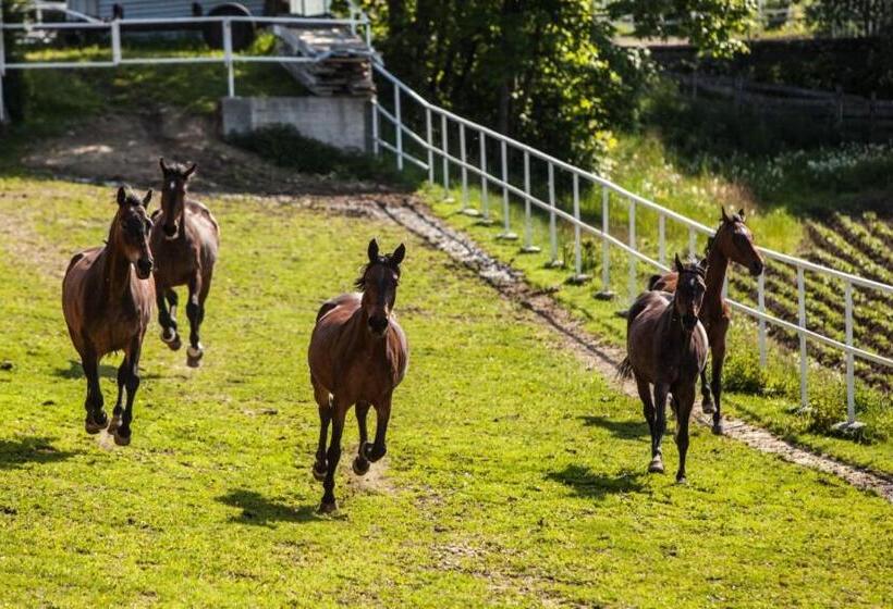 ホテル Rancho Pcim