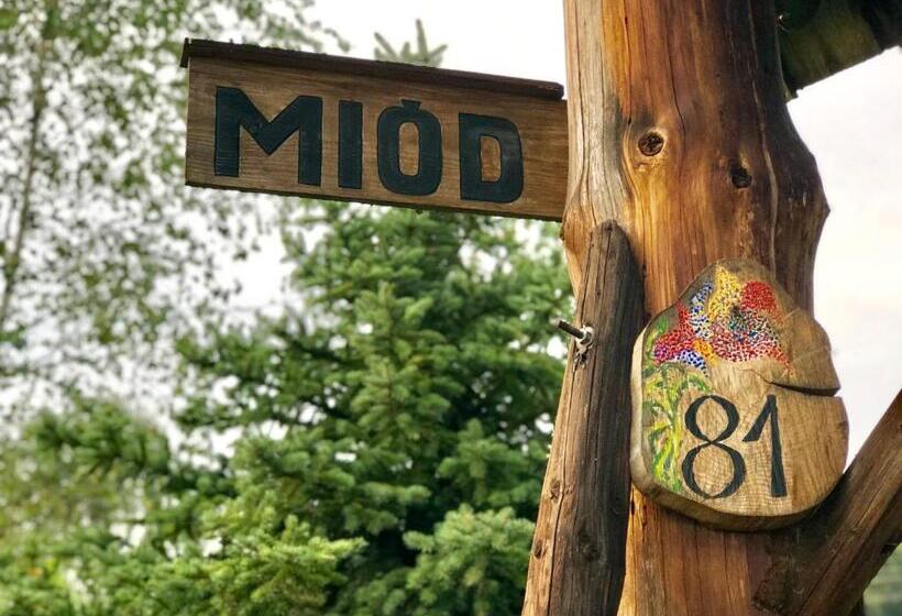 Отель Sianki Nad Sanem