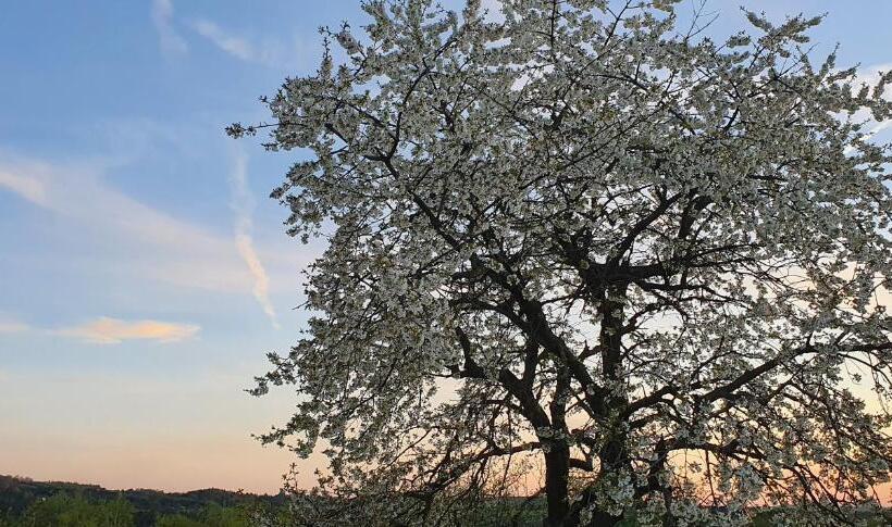 בית מלון כפרי Skalny Widok