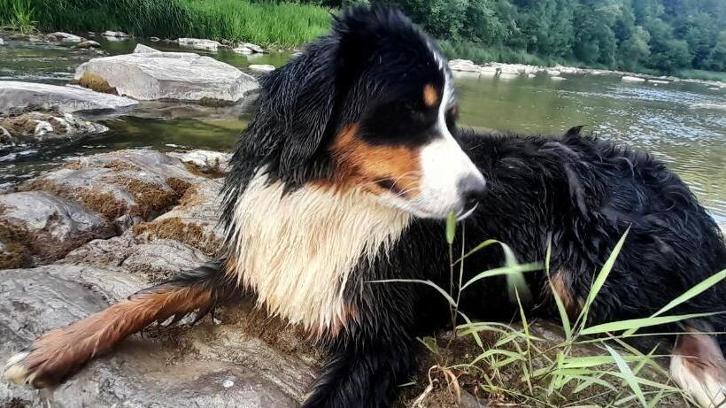 בית מלון כפרי Sowinka