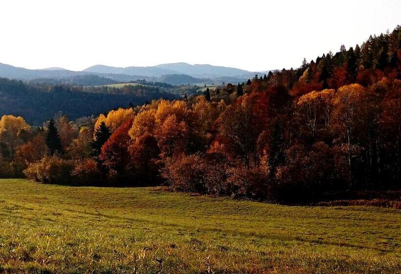 בית מלון כפרי Sowinka