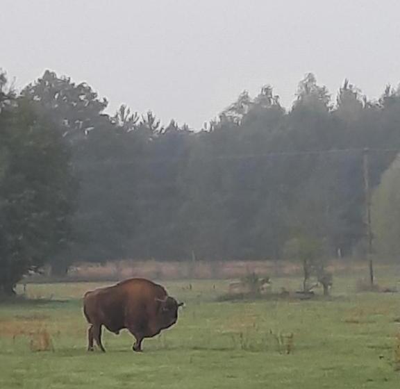בית מלון כפרי Stajnia Bukwica