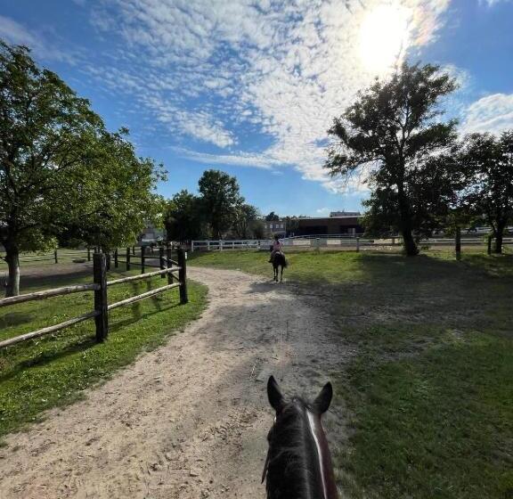 בית מלון כפרי Stajnia Na Warszawskiej