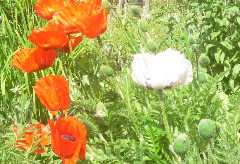 בית מלון כפרי Stara Plebania