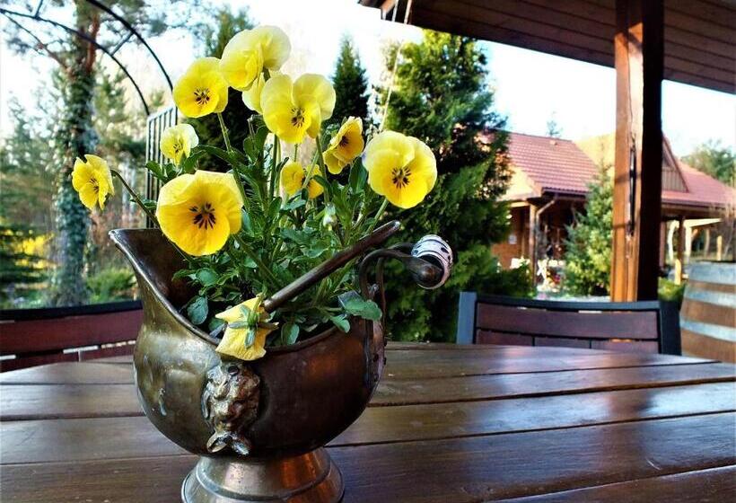 Отель Sumówko Leśne Siedlisko