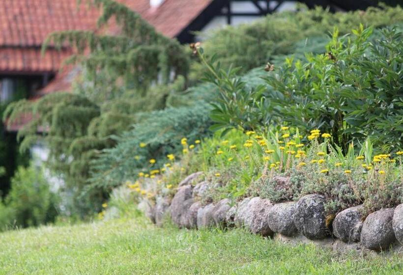 בית מלון כפרי Szwajcaria Mazurska