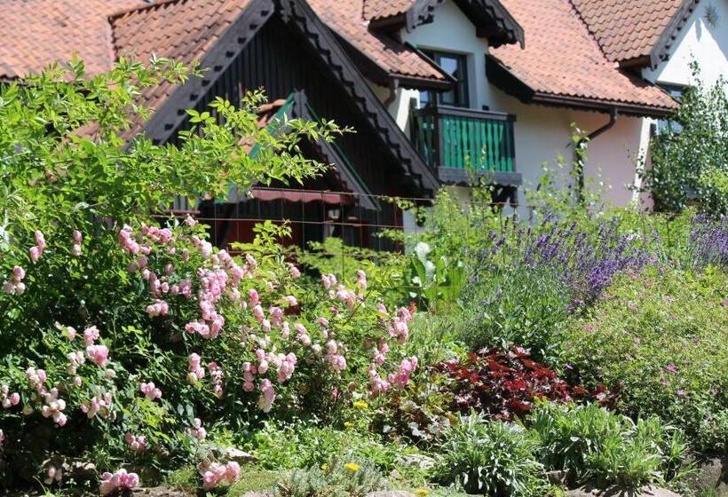 בית מלון כפרי Szwajcaria Mazurska