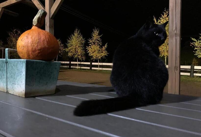 Отель Toskania Kociewska