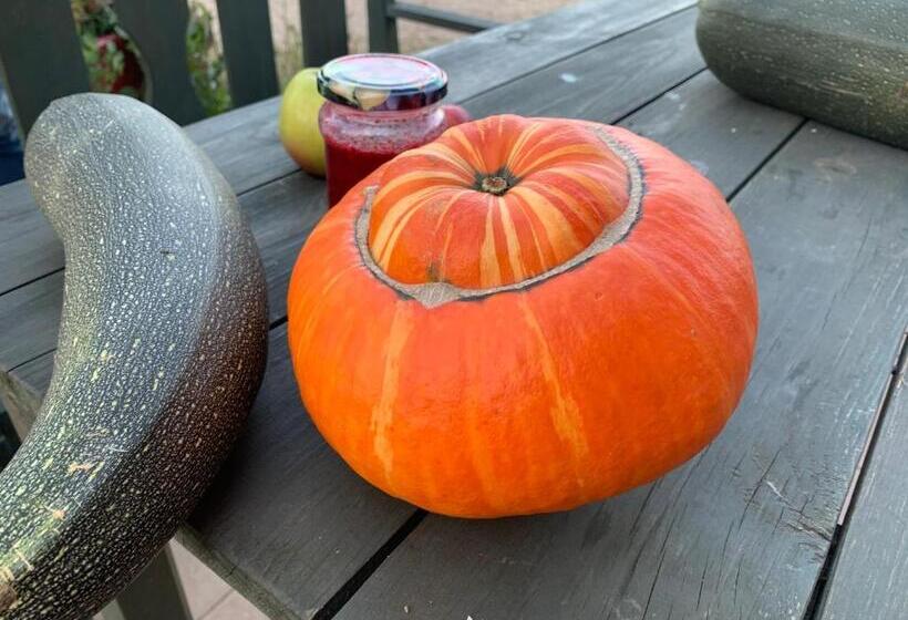 Отель Toskania Kociewska