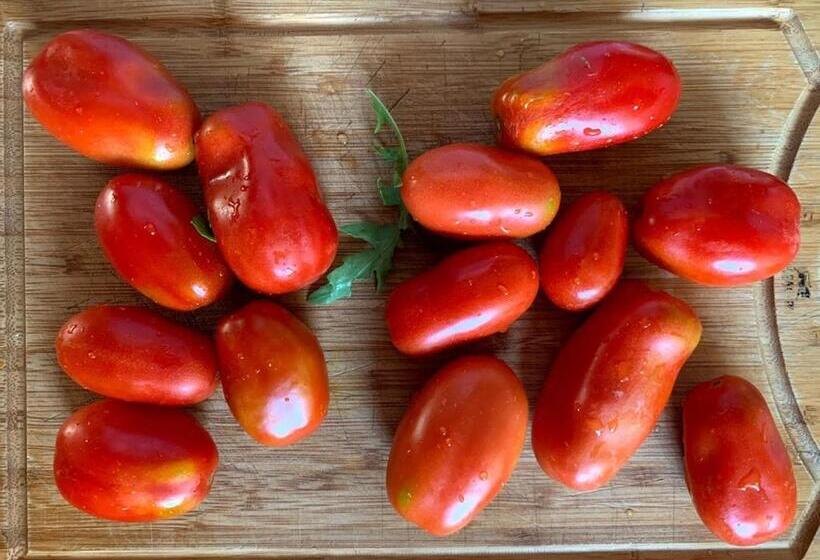 酒店 Toskania Kociewska