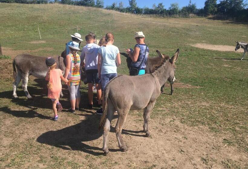 Отель Toskania Kociewska