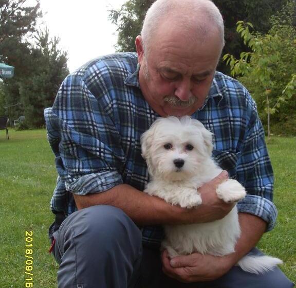 فندق U Heleny I Piotra Pokoje Goscinne