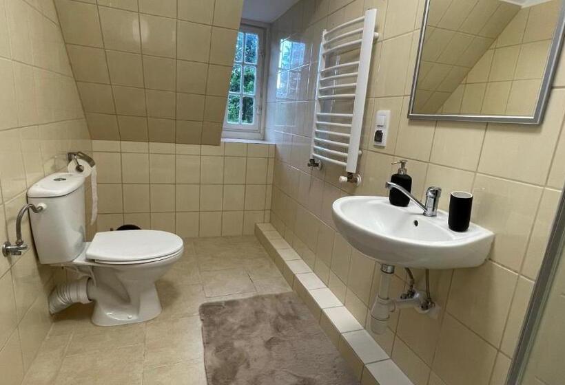 בית מלון כפרי Villa Anser