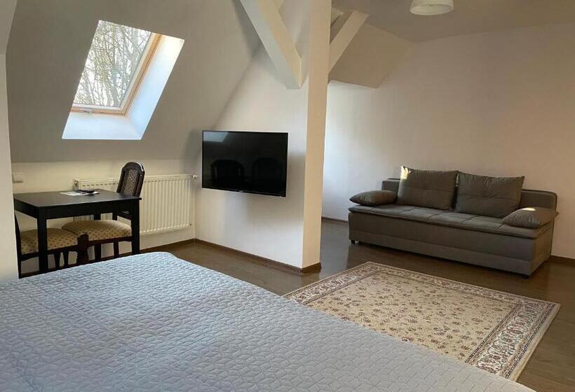 בית מלון כפרי Villa Anser