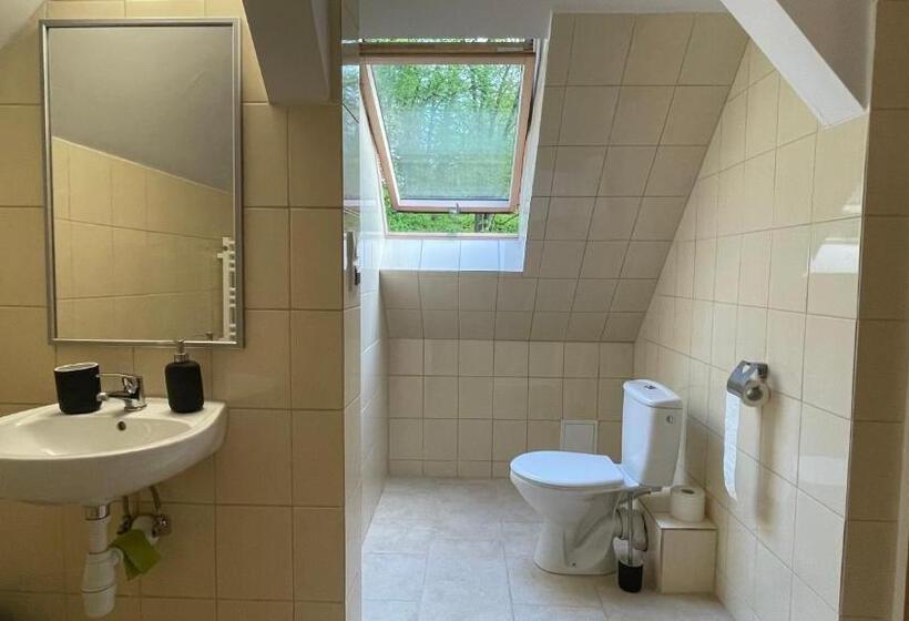 בית מלון כפרי Villa Anser