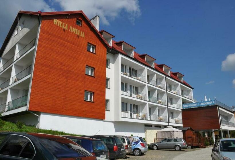 Отель Willa Amelia
