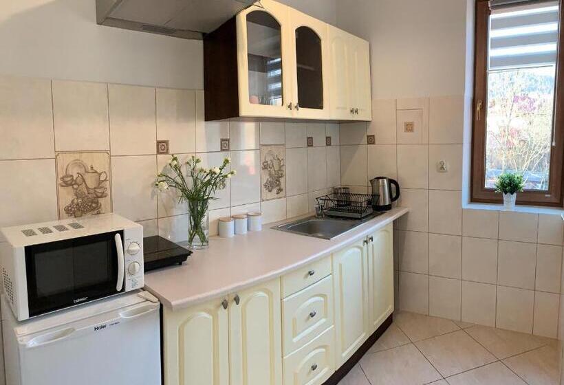 ホテル Willa Beskidzka