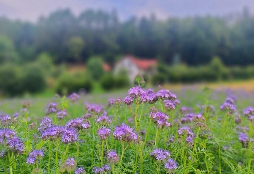בית מלון כפרי Zakątek Słoneczny Pod Baranią Górą