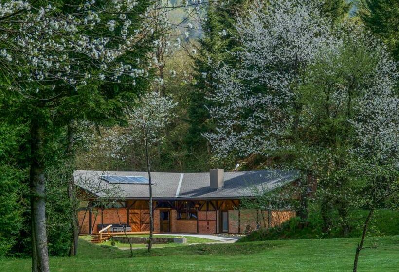 Novosiele Lifestyle Apartments   Nad Górską Rzeką   Strefa Relaksu Sauna Jacuzzi   Bieszczady