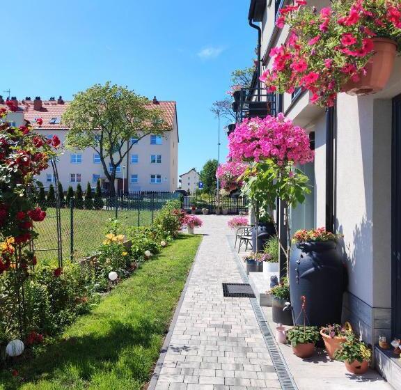 پانسیون 4 Foxes